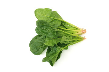 ホウレンソウ © kyonnta