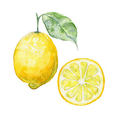 Watercolor background fresh limon. Sign / Symbol