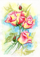 Watercolor illustration of a beautiful roses flowers