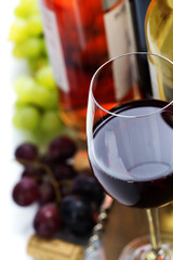 Wine and grape