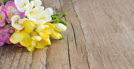 freesias