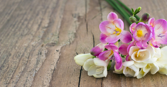 freesias