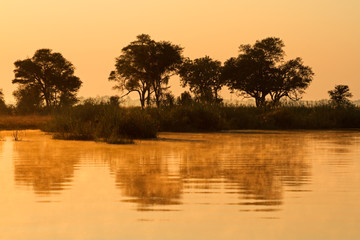Trees and reflection, Kwando river