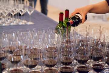Wine Tasting