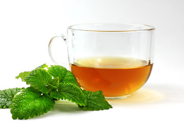 Infusion de hierbas