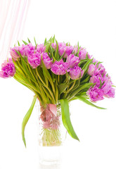 Beautiful purple tulips