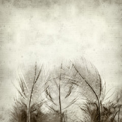 textured old paper background