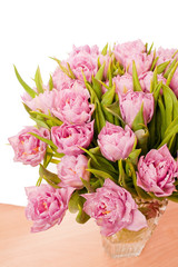 Beautiful purple tulips