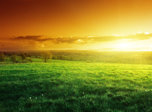 grassland sunset