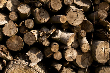 wood flattened into neat stacks