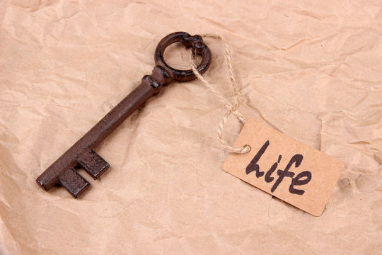 Key to life. Conceptual photo. On color background