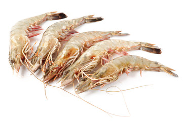 Raw prawns isolated on white background