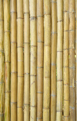 Old bamboo wall of local house.