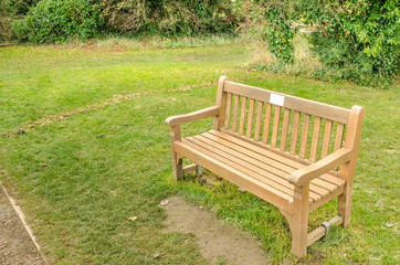 Wooden Bench in a Public Park