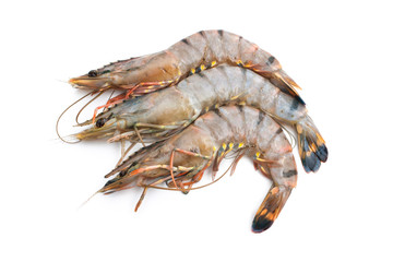 tiger shrimps