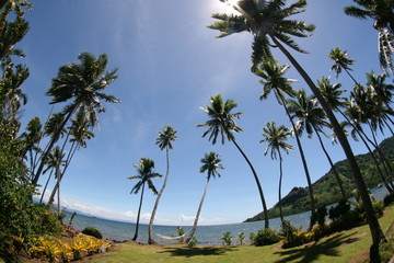 HolidayDream