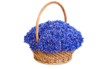 Fototapeta na wymiar Beautiful blue cornflowers in a basket