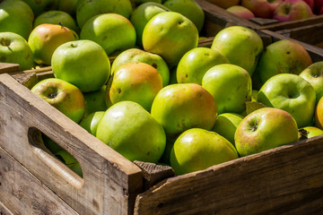 apples in a crate