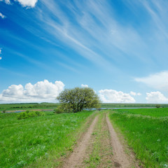 Fototapeta na wymiar dirty road in green field and blue sky with clouds