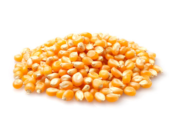 Corn grains