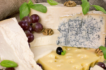 Assortment of cheese