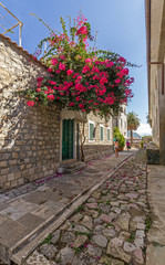 Naklejka premium Red flowers bougainvillea in narrow city street.