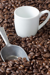 Espressotasse und Kaffeeschaufel zwischen Kaffeebohnen
