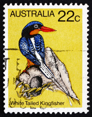 Postage stamp Australia 1980 White Tailed Kingfisher, Bird