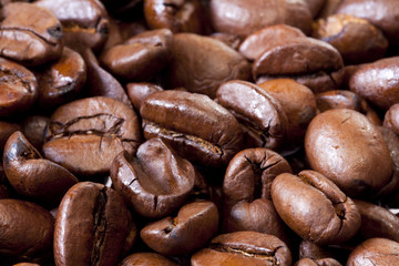 Makroaufnahme von Kaffeebohnen