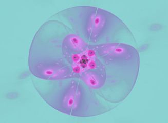 Fototapeta premium flower