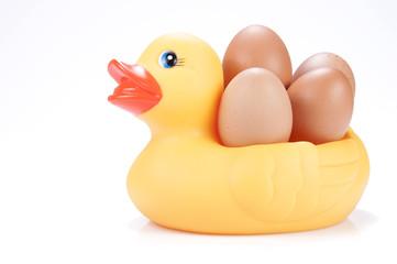 Mamá pato con huevos