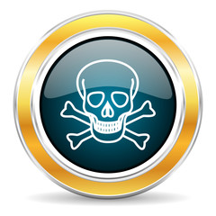 skull icon