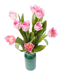 pink tulips in gree vase isolated on a white background