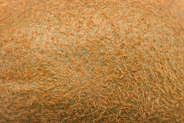 Kiwi Fruit Peel Macro Texture - 62101744
