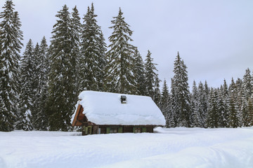 Snowy landscape in the mountains