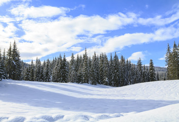 Fototapeta na wymiar Snowy landscape in the mountains
