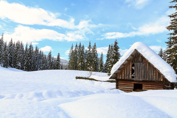 Fototapeta na wymiar Snowy landscape in the mountains