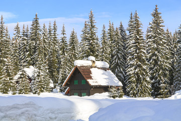 Obraz na płótnie Canvas Snowy landscape in the mountains