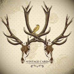  Vintage floral background with a deer skull © depiano