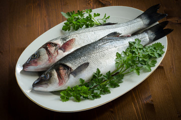 Spigole fresche, fresh european bass