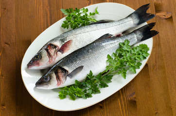 Spigole fresche, fresh european bass