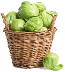 Brussels sprout ( .Brassica oleracea L.)