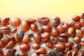 Coffee beans background with space for text