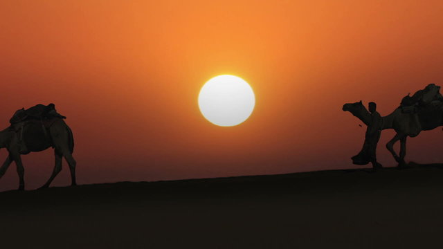 cameleers leading caravan of camels in desert - silhouette again