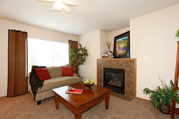 Cozy living room with a fireplace