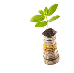 Concept image of financial growth