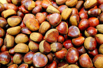 Chestnut