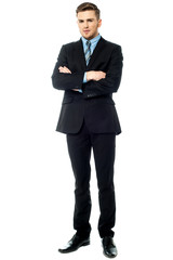 Obraz na płótnie Canvas Full length image of a professional business executive