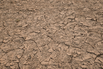 Cracked soil of dry marsh as background