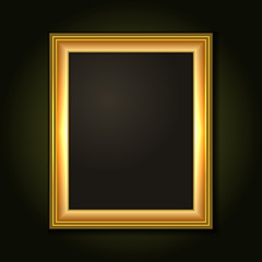 Gold Picture Frame with Dark Canvas